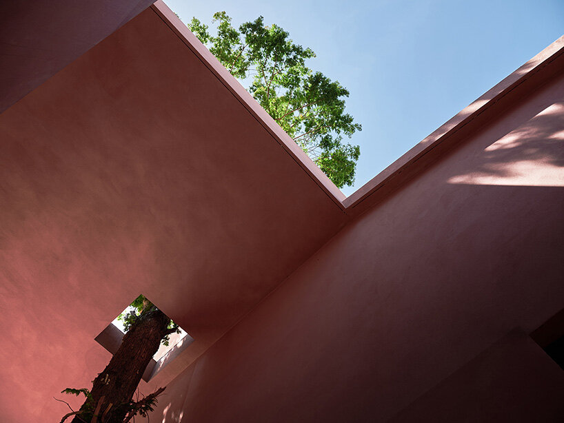cherry blossom pink cement coats cultural space by qicang design in china