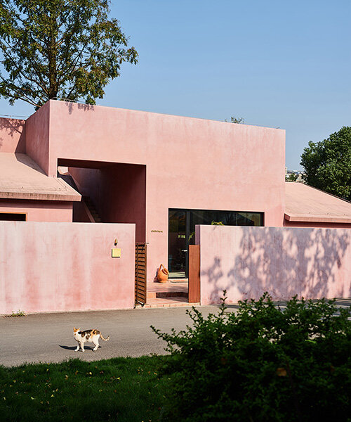 cherry blossom pink cement coats cultural space by qicang design in china