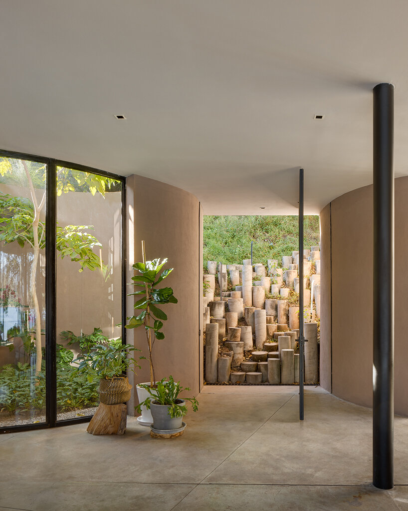 circular voids embrace mexico's ancestral trees in eco-conscious residence by MCxA group