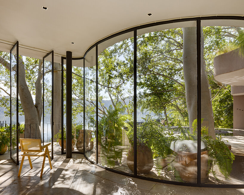 circular voids embrace mexico's ancestral trees in eco-conscious residence by MCxA group