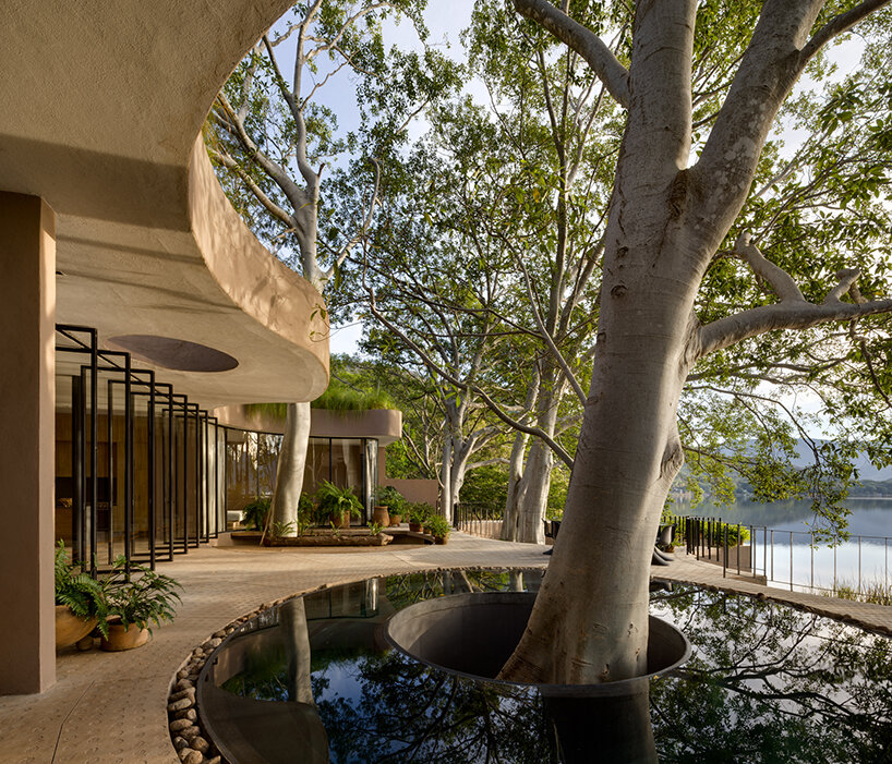 Los vacíos circulares en una casa ecológica diseñada por MCxA Group abrazan los árboles ancestrales de México