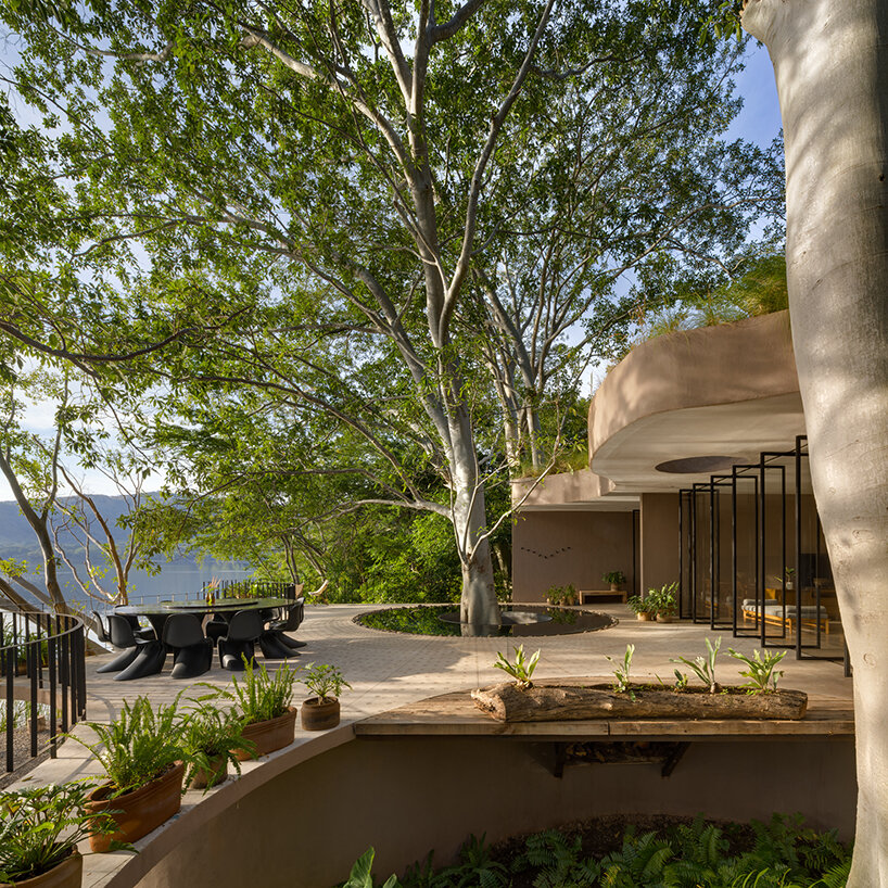 Los vacíos circulares en una casa ecológica diseñada por MCxA Group abrazan los árboles ancestrales de México