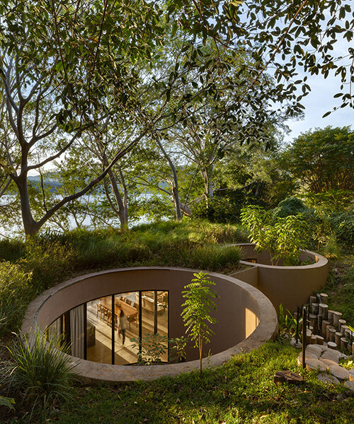 circular voids embrace mexico's ancestral trees in eco-conscious residence by MCxA group