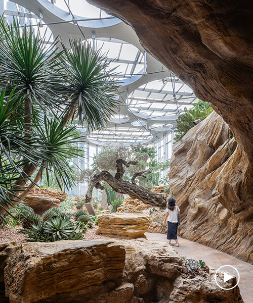 DMAA completes zero-energy greenhouse, bringing desert and tropical biomes to shanghai