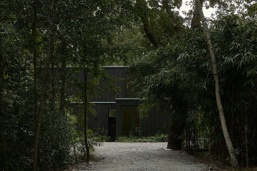 floating timber volume crowns forest house by kumiki architecture in the netherlands