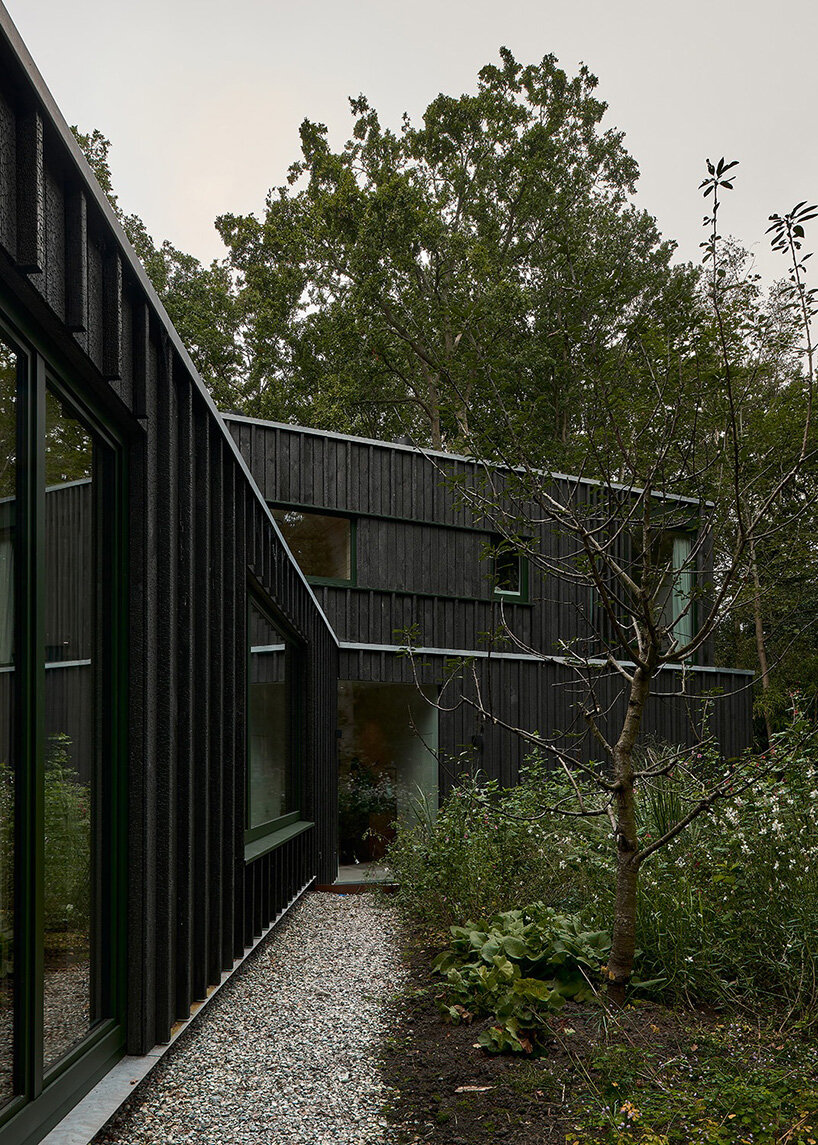 floating timber volume crowns forest house by kumiki architecture in the netherlands