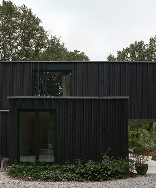 floating timber volume crowns forest house by kumiki architecture in the netherlands