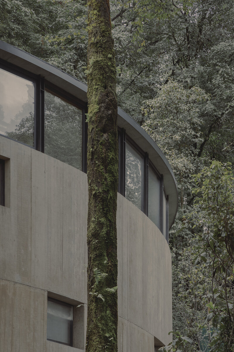 ring structure of casa girasol channels sunlight amid pine forest in mexico