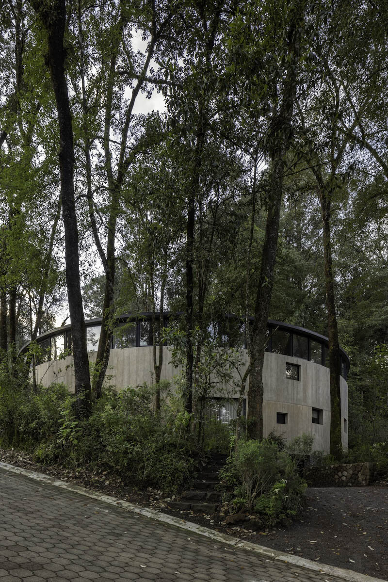 ring structure of casa girasol channels sunlight amid pine forest in mexico