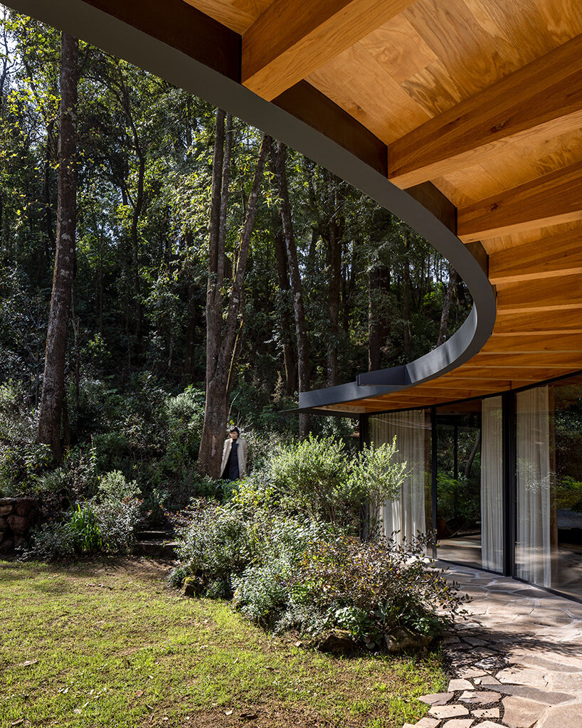 ring structure of casa girasol channels sunlight amid pine forest in mexico