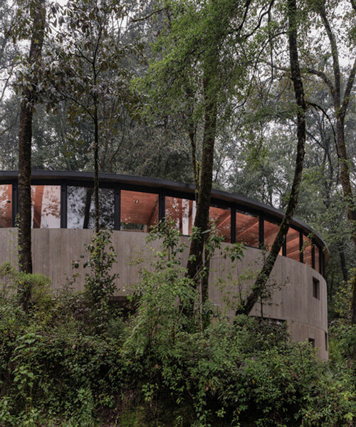 ring structure of casa girasol channels sunlight amid pine forest in mexico