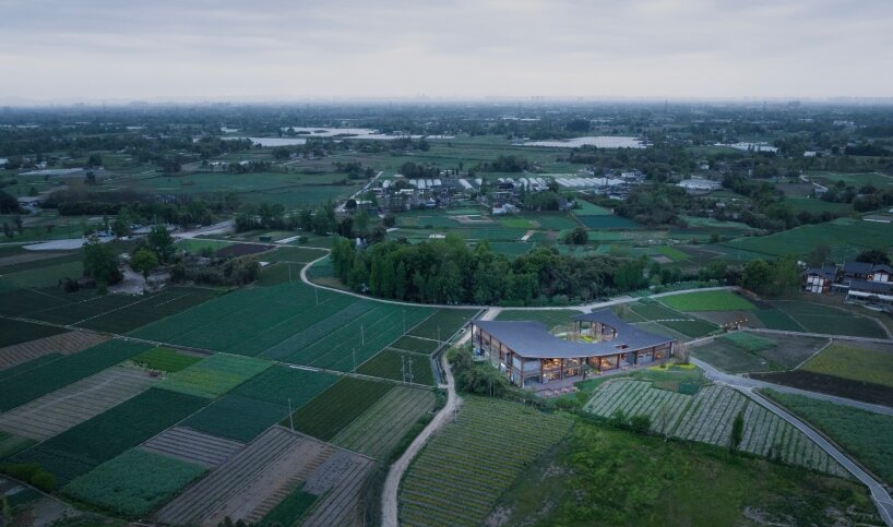 homme architects' round opening above tourist center frames bamboo garden in china fields
