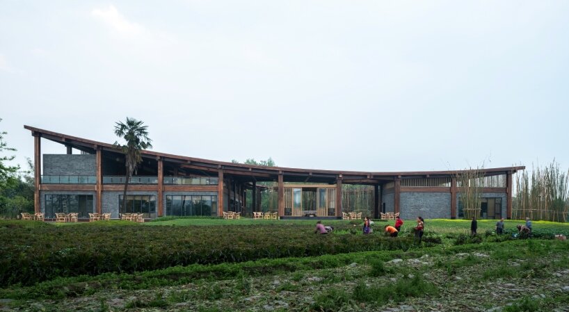 homme architects' round opening above tourist center frames bamboo garden in china fields