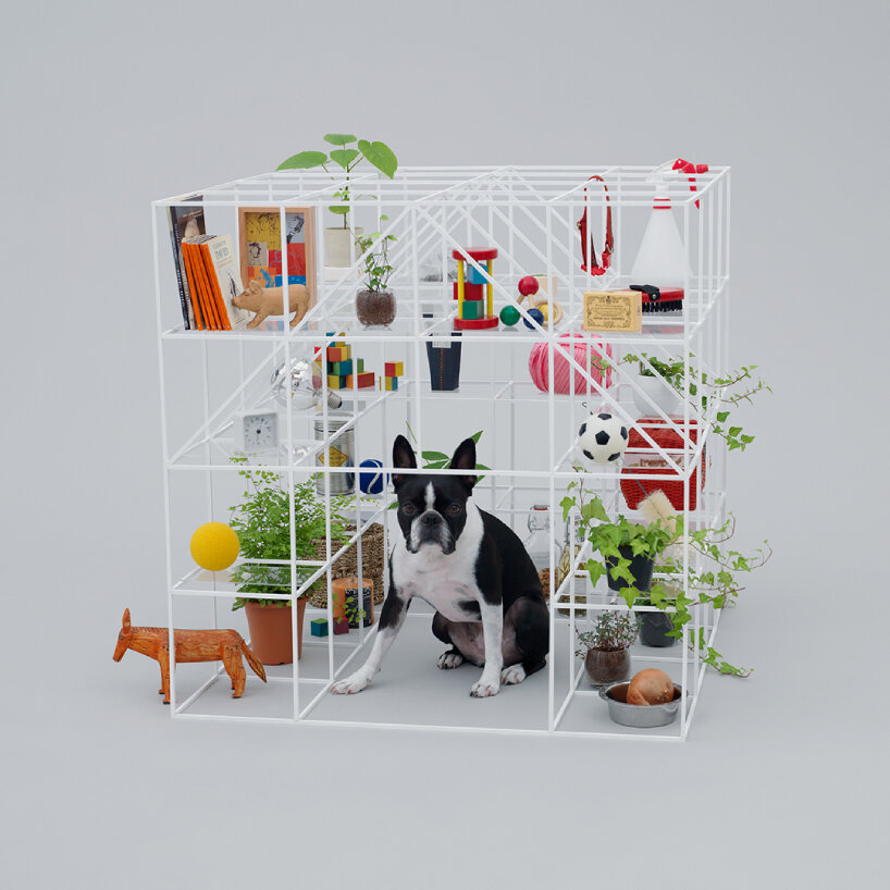 architecture dogs exhibition adi