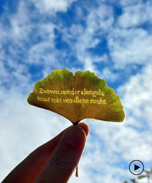 an ode to letting go: merel slootheer imprints small poems onto autumn fallen leaves