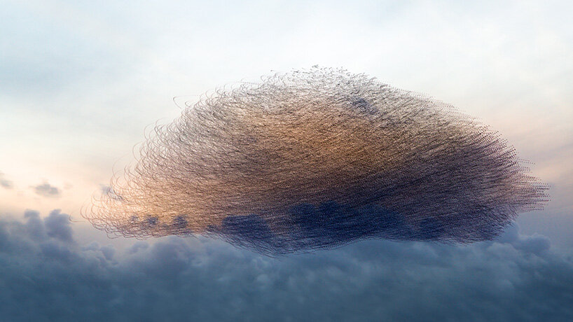 photography series by kathryn cooper maps aerial ⁣choreography of starling murmurations