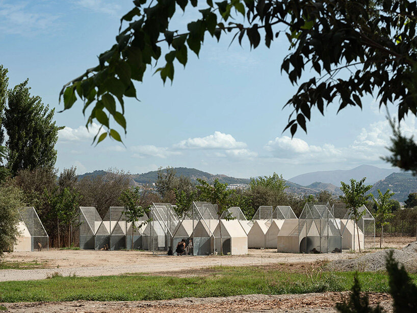 modular prefab units provide refuge for dogs in serrano + baquero’s spanish animal shelter