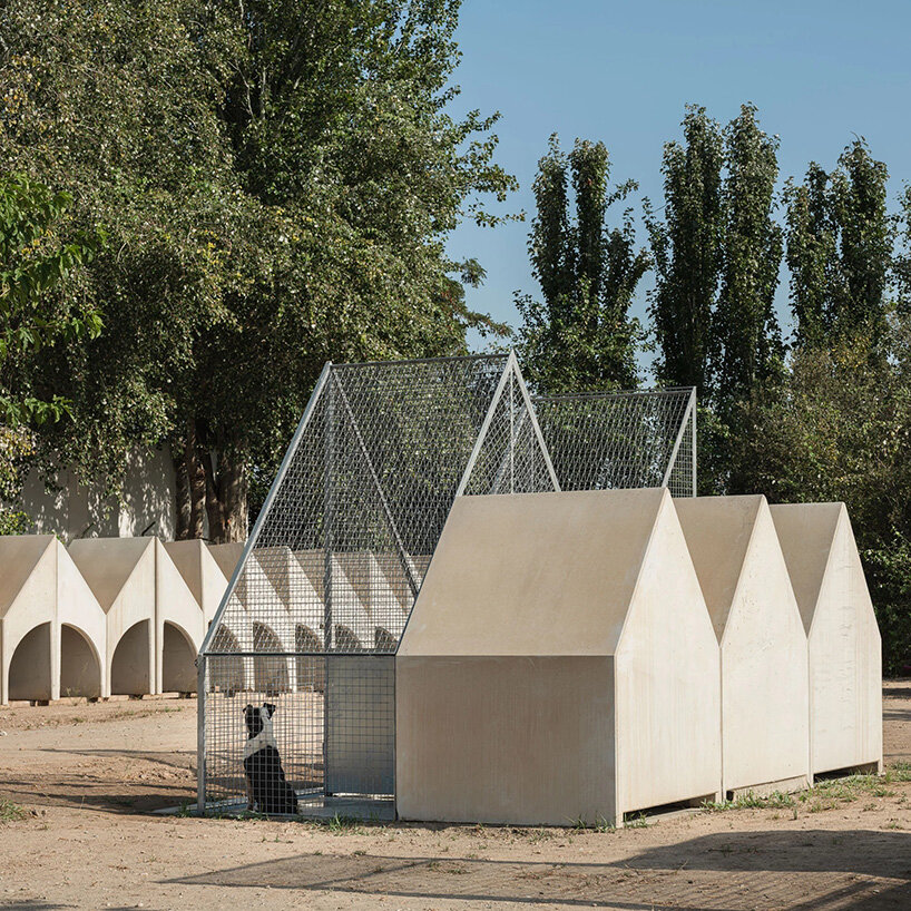 modular prefab units provide refuge for dogs in serrano + baquero’s spanish animal shelter