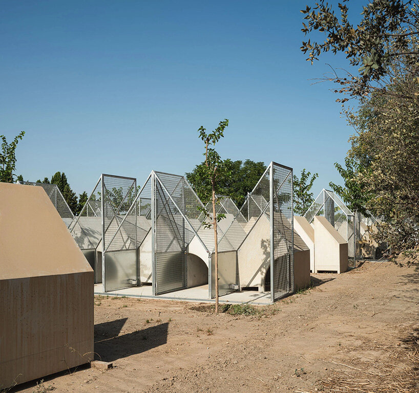 modular prefab units provide refuge for dogs in serrano + baquero’s spanish animal shelter