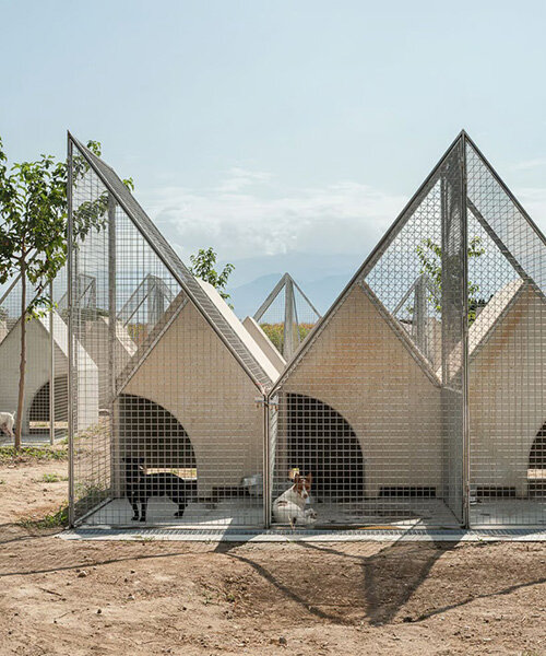 modular prefab units provide refuge for dogs in serrano + baquero’s spanish animal shelter