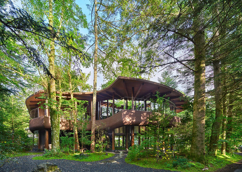 Arquitectos hacen levitar una villa sobre el paisaje forestal japonés