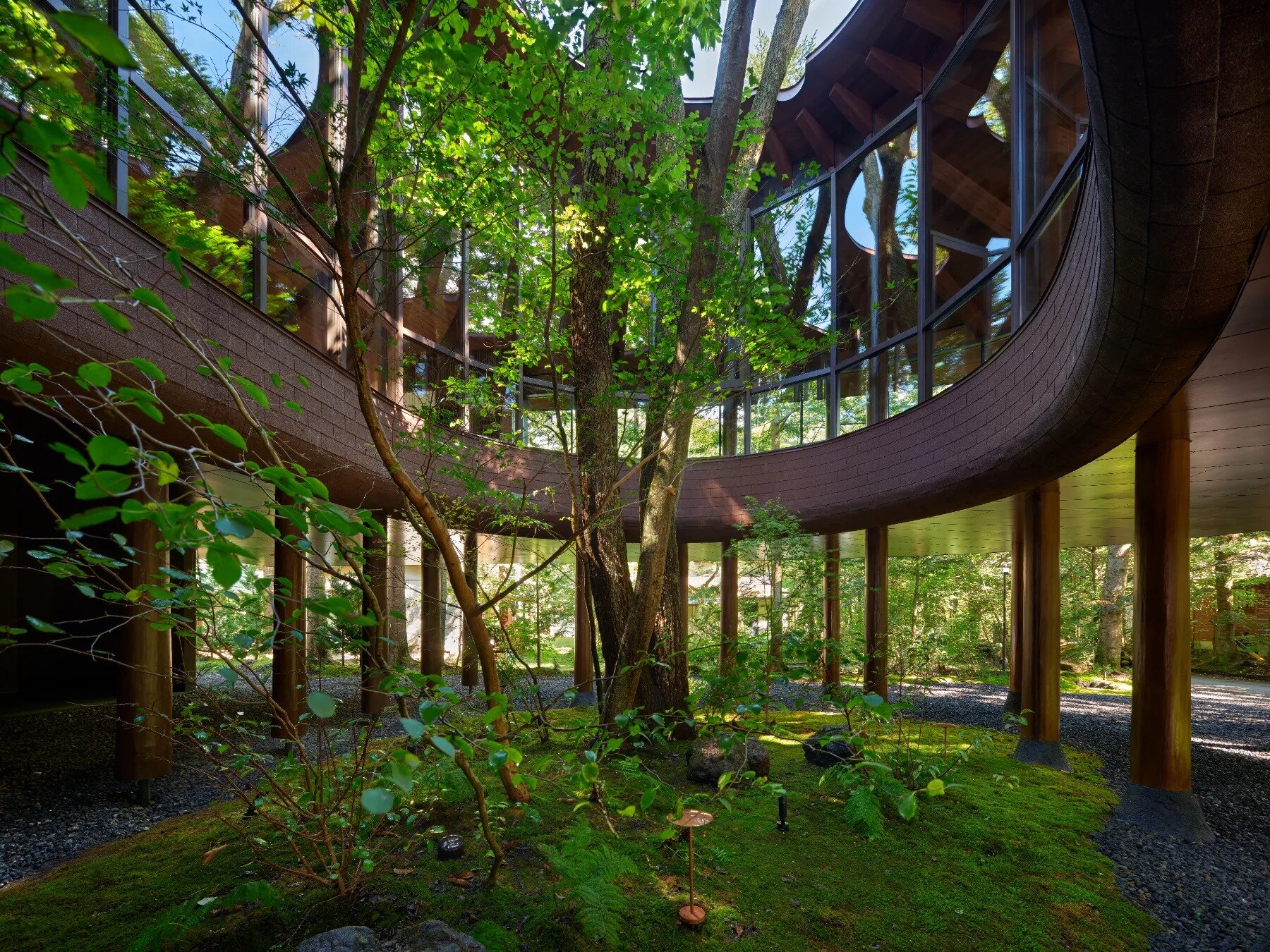piloti-structure-villa-and-to-architects-japan-forest-landscape-12-23-2024-designboom-1800-01