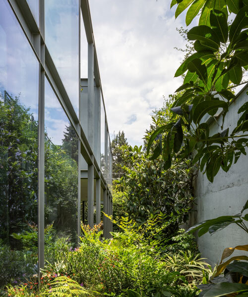 garden void softens the rigid steel and glass structure of cárpatos house in mexico city