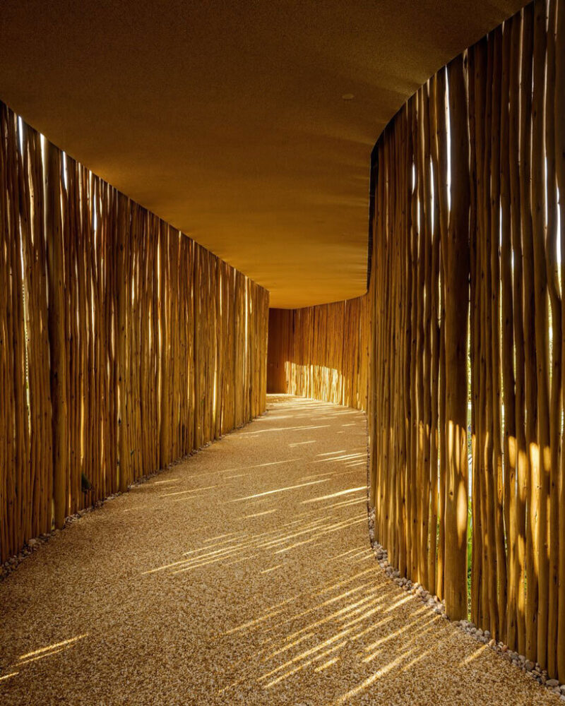 dry pink concrete residence by mf+arquitetos emerges from lush forest in rio de janeiro