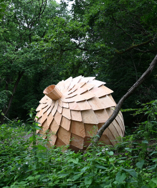 LFZ studio's giant wooden acorn becomes a meditative pod in a forest in france