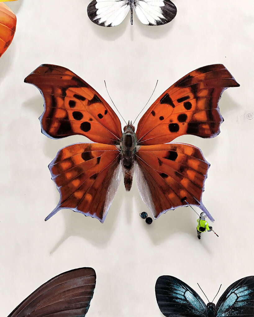 mantra brings his signature lifelike butterflies to miami’s largest rooftop mural