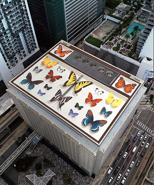 mantra brings his signature lifelike butterflies to miami’s largest rooftop mural