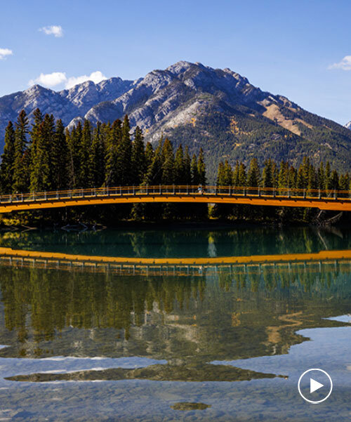 nancy pauw pedestrian bridge's timber arch spans over bow river in canada