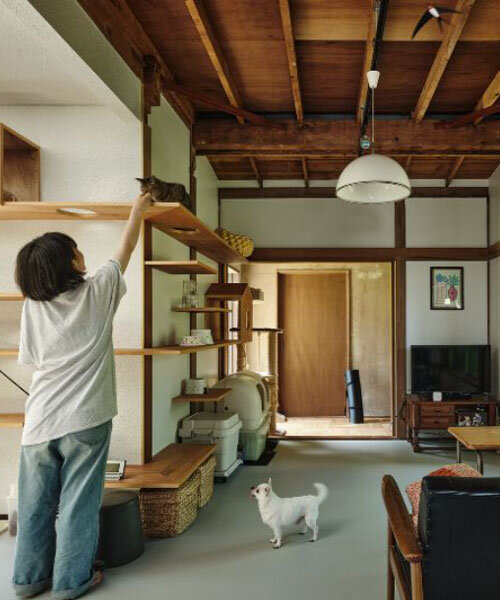 ROOVICE installs vertical wooden play wall for cats into 1970s japanese home