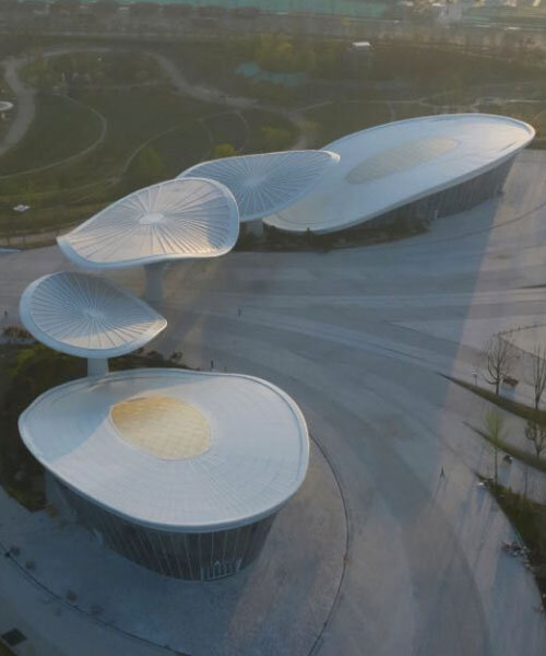 biomimetic canopies sculpt blooming hibiscus for chengdu international horticultural expo