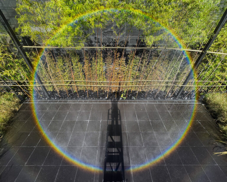 teamLAB channels wind, rain & sun for luminous installations, japan