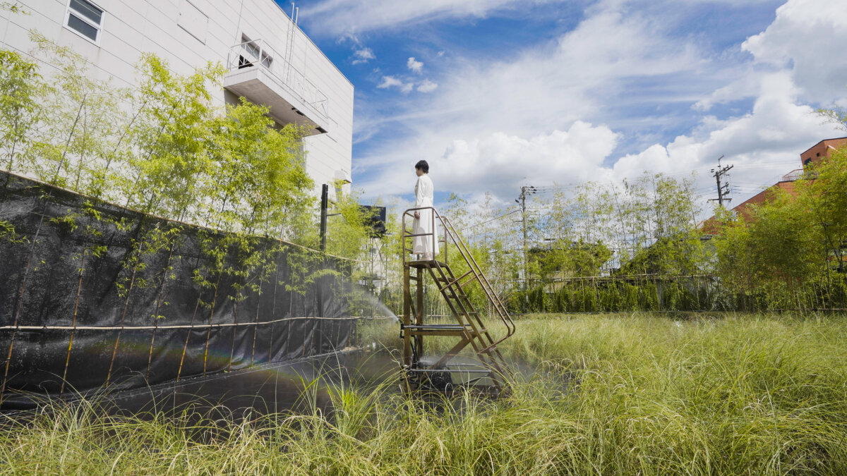 teamLAB menyalurkan angin, hujan, dan matahari untuk instalasi bercahaya di Jepang