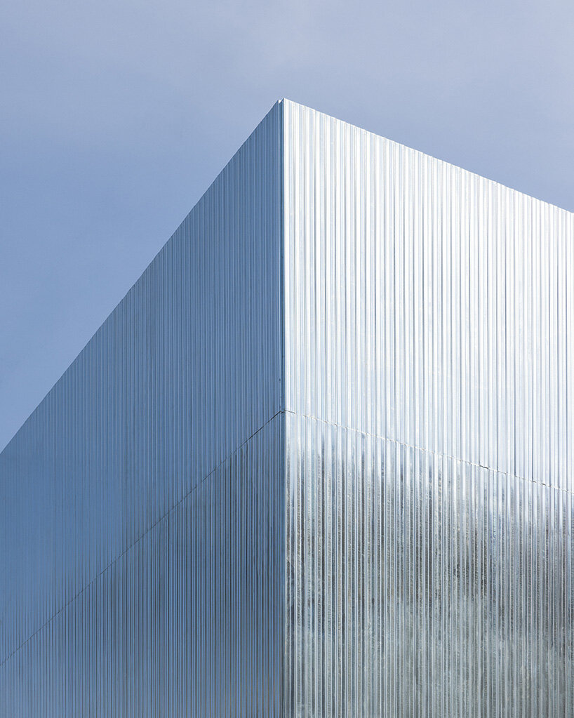 Estudio picazón en la casa Bomun