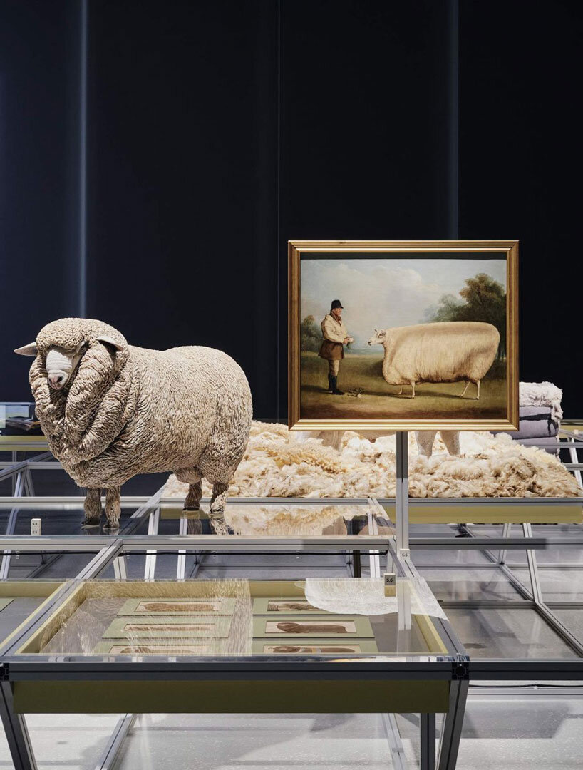 formafantasma examines sheep's layered influence on human history at stedelijk museum