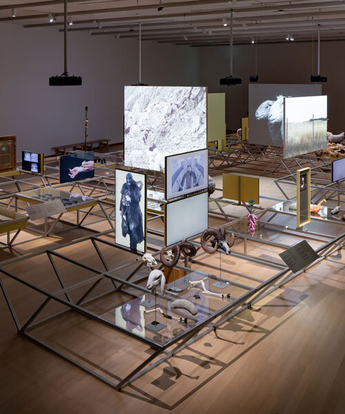 formafantasma examines sheep's layered influence on human history at stedelijk museum