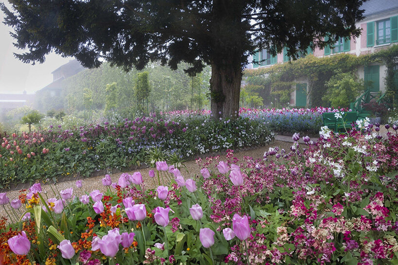 aileen bordman captures claude monet's blooming giverny gardens in NY photo exhibition