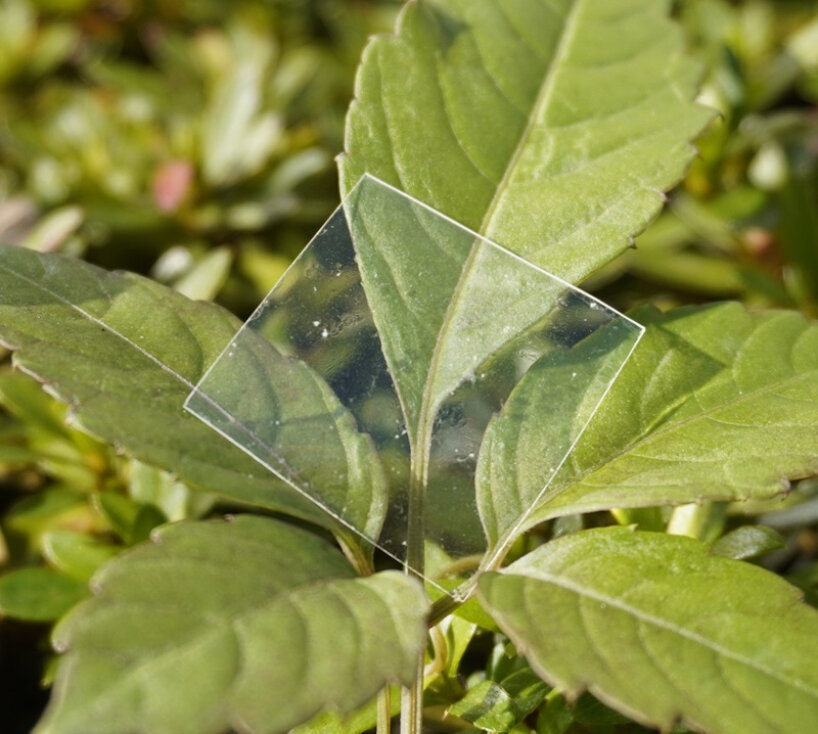 recyclable plastic dissolves sea