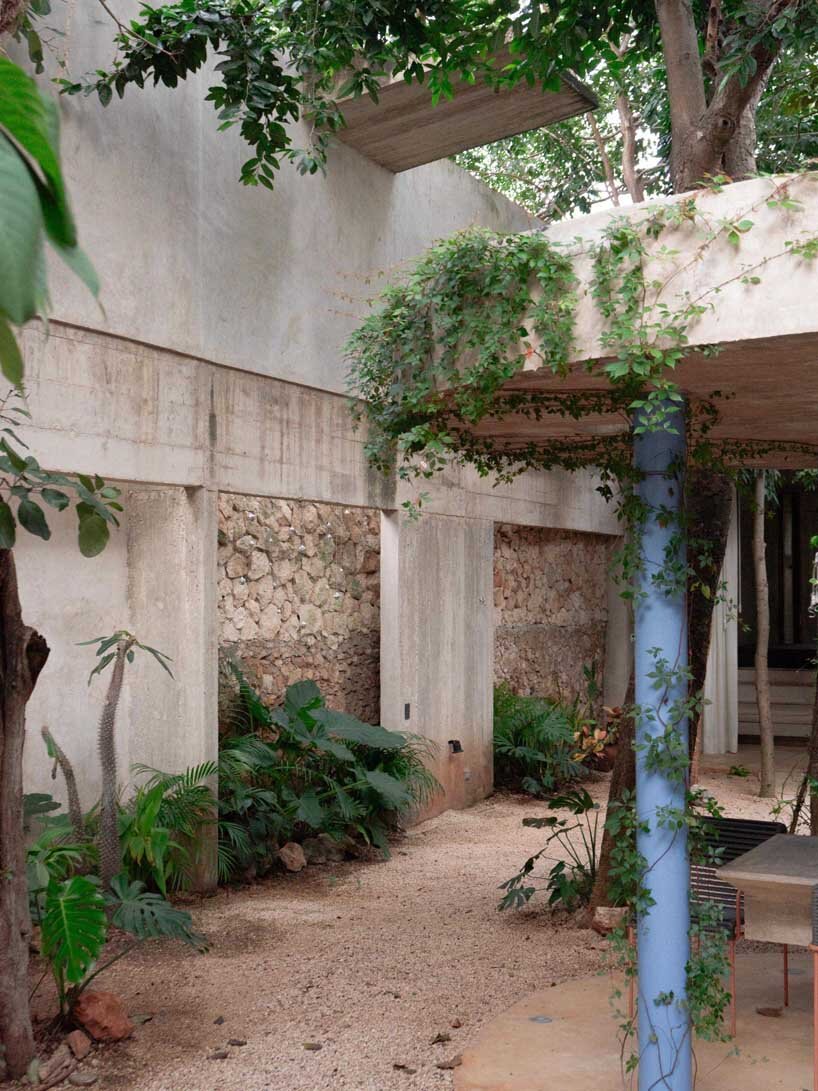 mexican house by ludwig godefroy unfolds as a porous concrete shell around lush courtyards