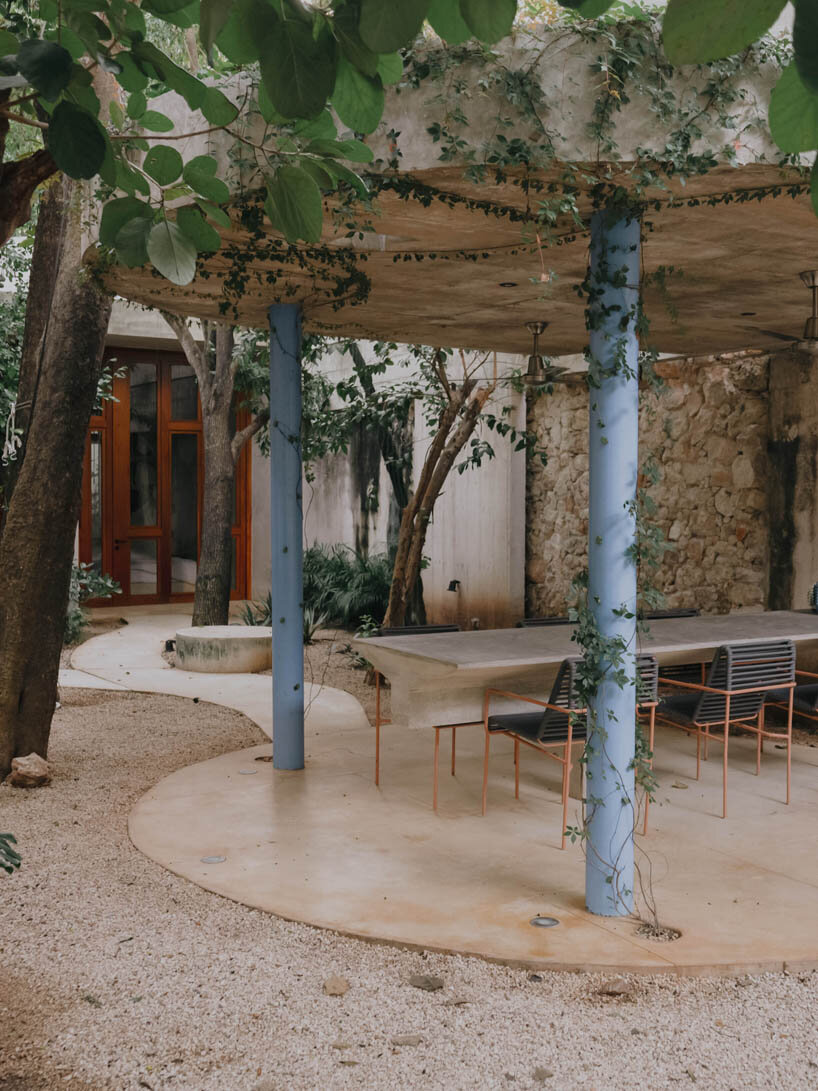 mexican house by ludwig godefroy unfolds as a porous concrete shell around lush courtyards