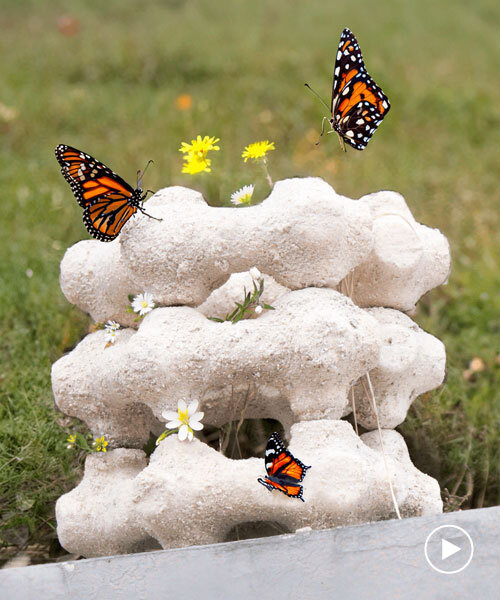 biodegradable modular nest made of eggshells attracts butterflies to city centers