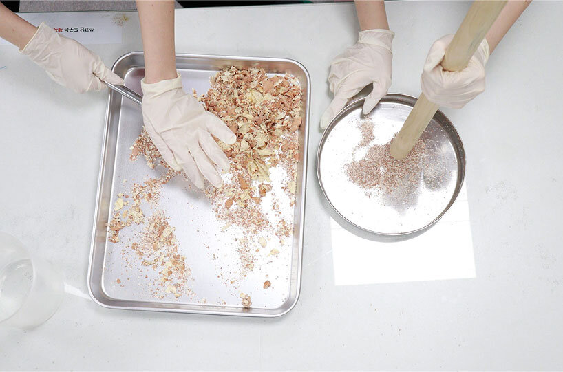 biodegradable modular nest made of eggshells attracts butterflies to city centers