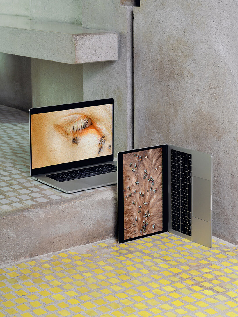 Formafantasma Mengontrol Negazio Olivetti oleh Carlo Scarpa Biennial of Architecture Venice