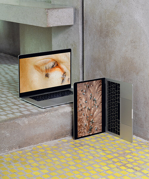 formafantasma takes over carlo scarpa's negozio olivetti during venice architecture biennale