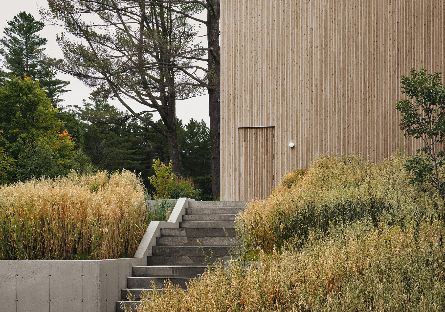nu-drom-offices-matiere-premiere-quebec-canada-designboom-06a