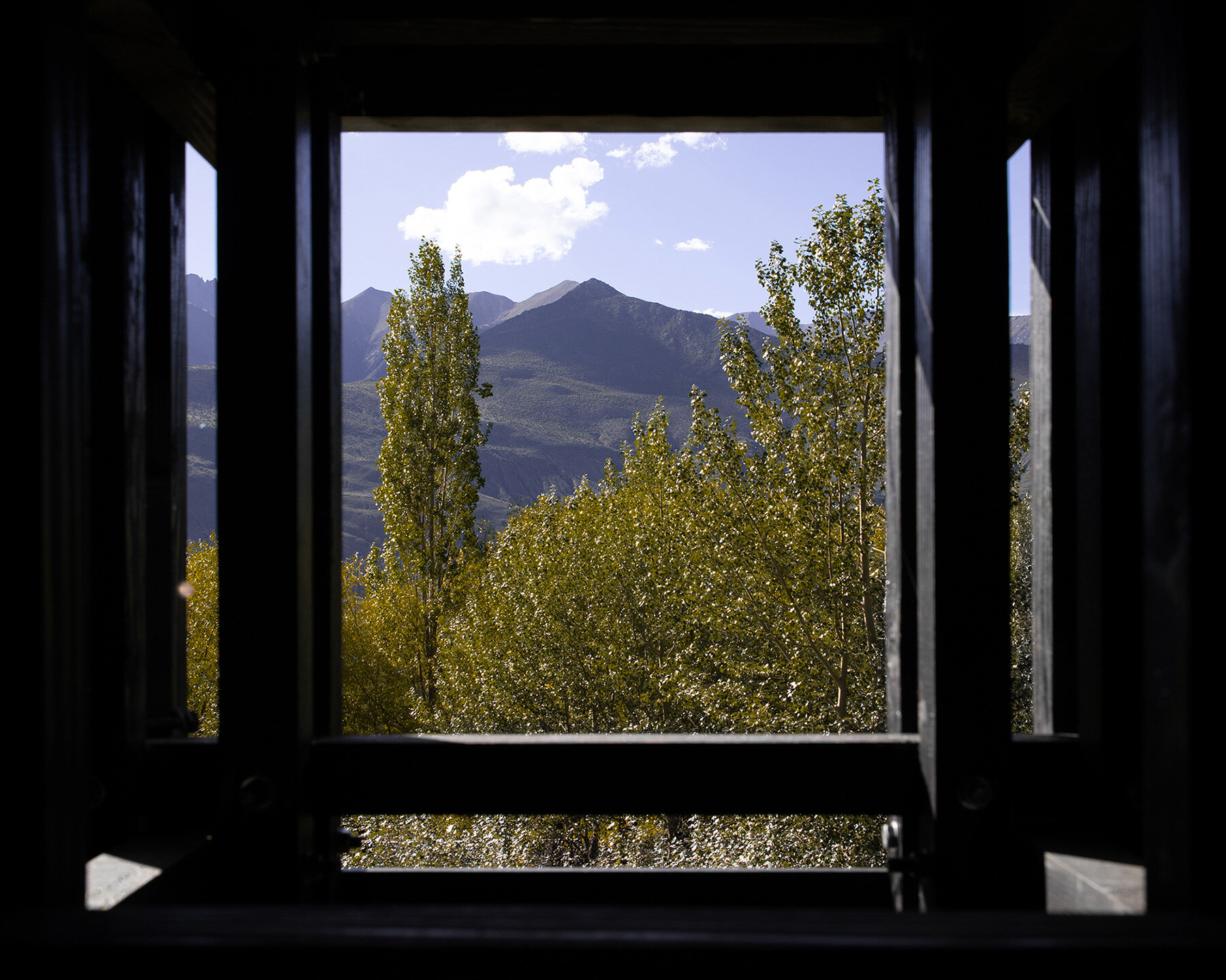 shannan-beehive-observation-cabin-omno-lab-designboom-06a
