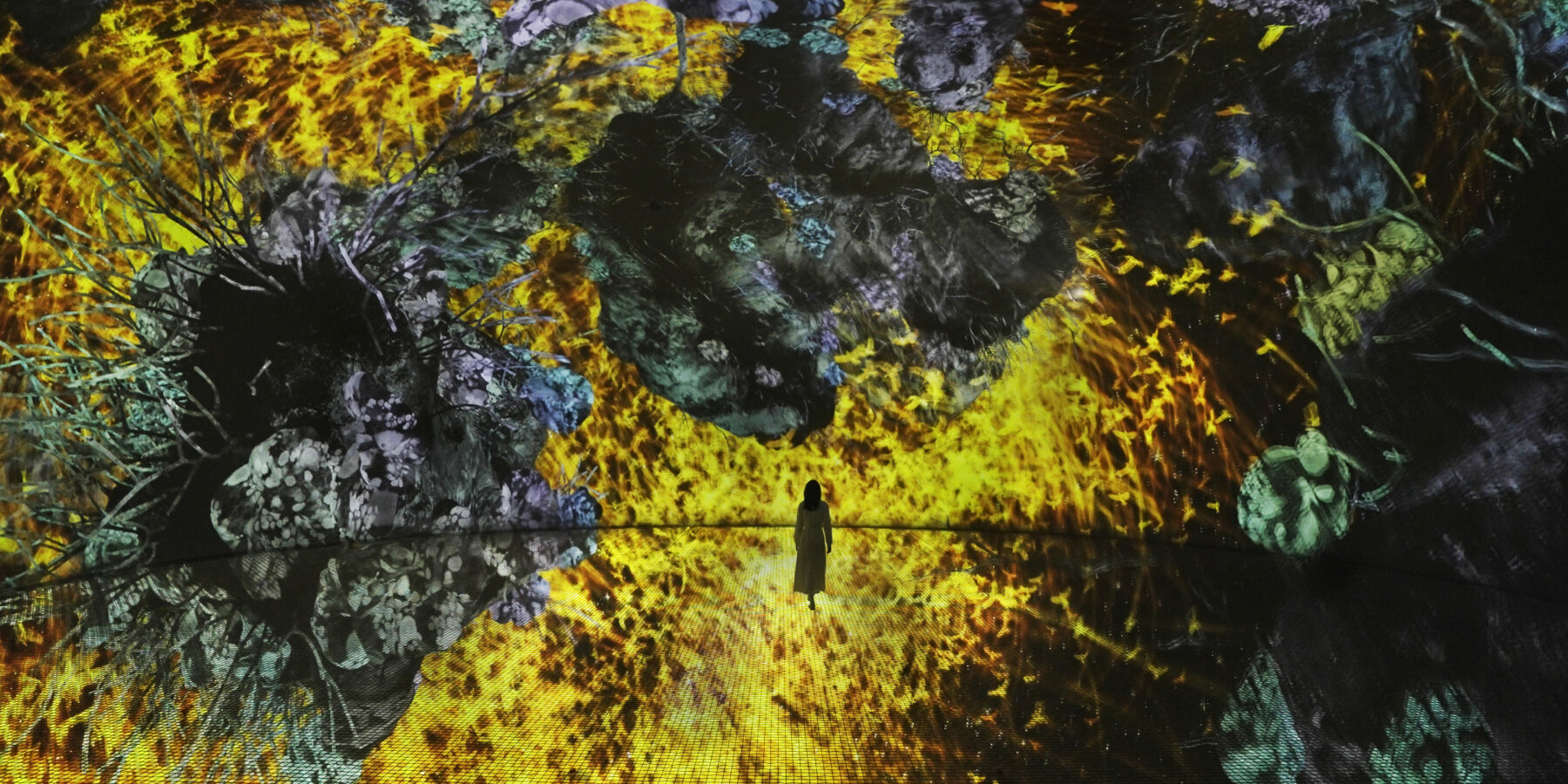 teamlab-phenomena-abu-dhabi-opening-designboom-02